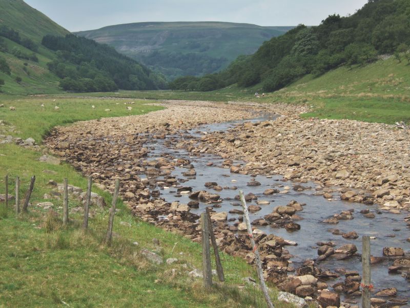 Swale Water Management