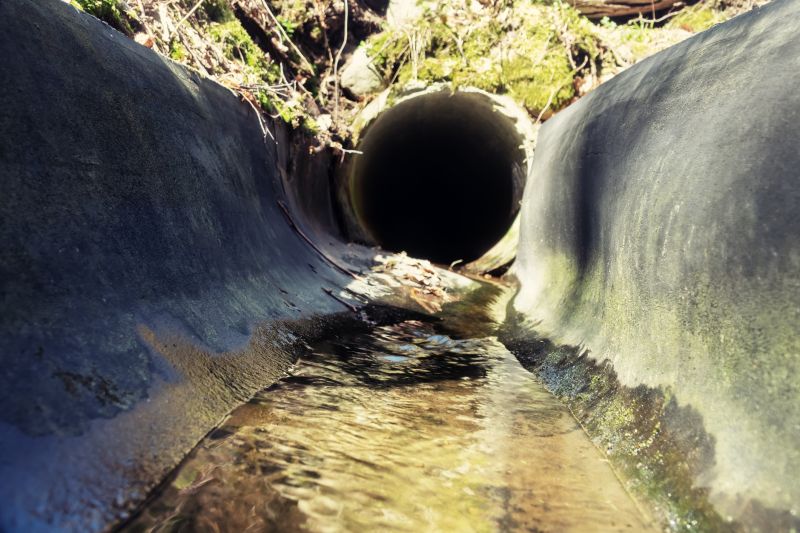 Swale Water Management